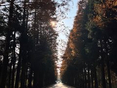 -山王坪喀斯特国家生态公园