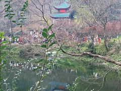 -岳麓山风景名胜区