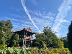 -莲池书院博物馆