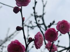 -艾溪湖湿地公园