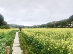 -红山村