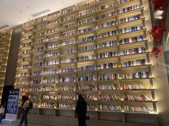 -深影国际影城(学院南路店CGS中国巨幕店)