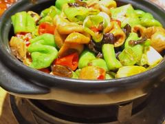 螺丝椒烧肥肠-吴越荣记·苏州菜·松鼠桂鱼(斜塘老街店)