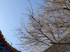 -西宁市东关清真大寺