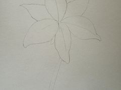 -谷隆画舍·国画书法素描彩铅水彩