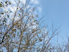 -白塘生态植物园