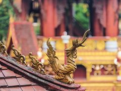 -西双版纳总佛寺