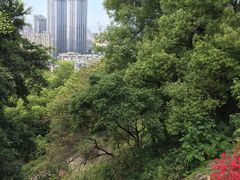-乌山风景区