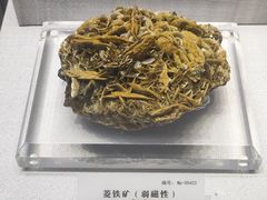 -湖南省地质博物馆