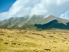 -祁连山草原