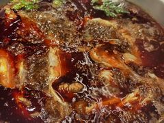 -忘情水鱼府(北湖路店)