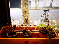 -RUMORS COFFEE ROASTERY鲁马滋咖啡(湖南路店)