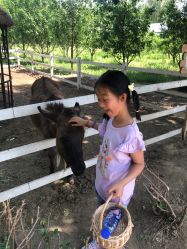 点击看大图 -优沃得自然教育农场·冰雪乐园·生日会·研学