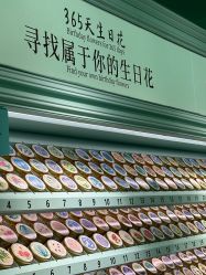 -青稚护手霜QINGZHI