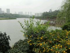 -广西壮族自治区药用植物园