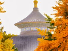 -沉浸北京·团建旅行·密室剧本杀·年会会议轰趴拓展