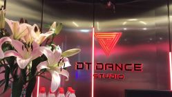 -DT·舞蹈培训