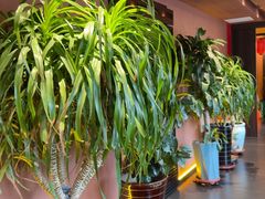 -隐炉和牛烧肉店(群力店)