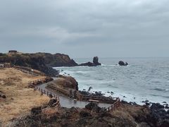 -涉地可支