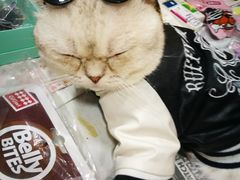 -吴山路夜市