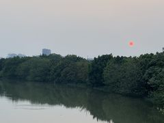 -海珠湖公园