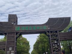 -溱湖国家湿地公园