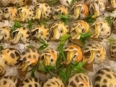 -北塘海鲜·天津菜·鲅鱼水饺是一绝(大光明桥旗舰店)