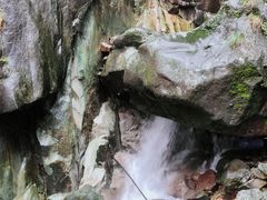 -大鄣山卧龙谷景区