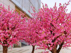 -百荣世贸商城