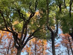 -食膳公园包子铺(烈士公园店)