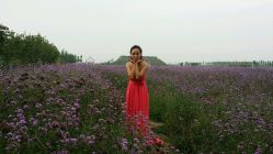 android_upload_pic-完美新娘婚纱摄影