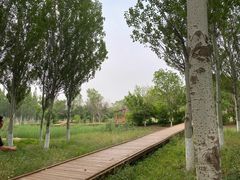 -东郊湿地公园