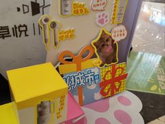 -福田卓悦INTOWN购物中心