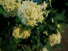 -粤湘情(珠海海泉湾店)