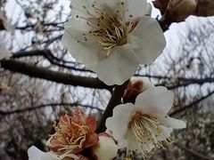 -堤角公园