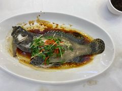 清蒸本港海斑-金华安大酒楼·老牌潮菜·粤式茶点(东方国际店)