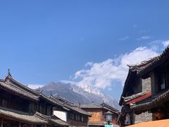 -蘑统田下·野生菌火锅