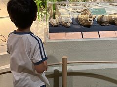 -深圳博物馆历史民俗馆