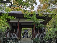 -常寂光寺