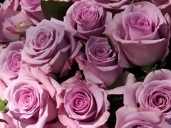 -上海交通大学(闵行校区)