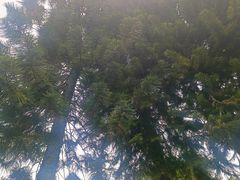 -李宗仁先生故居