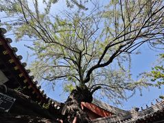 -莲池书院博物馆