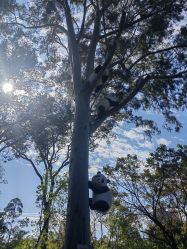 点击看大图 -广州中心皇冠假日酒店·宴会厅