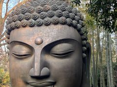 -杭州植物园