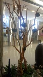 -AKOZO Beauty Salon