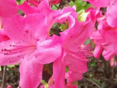 -上海植物园·停车场