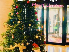 -北京望京华彩智选假日酒店
