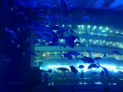 -成都浩海立方海洋公园