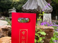 -灵谷景区
