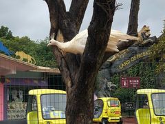 -杭州野生动物世界